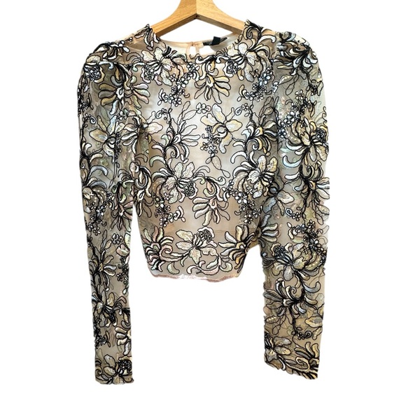 Topshop Embroidered Sheer Floral Lace Blouse - Picture 4 of 12